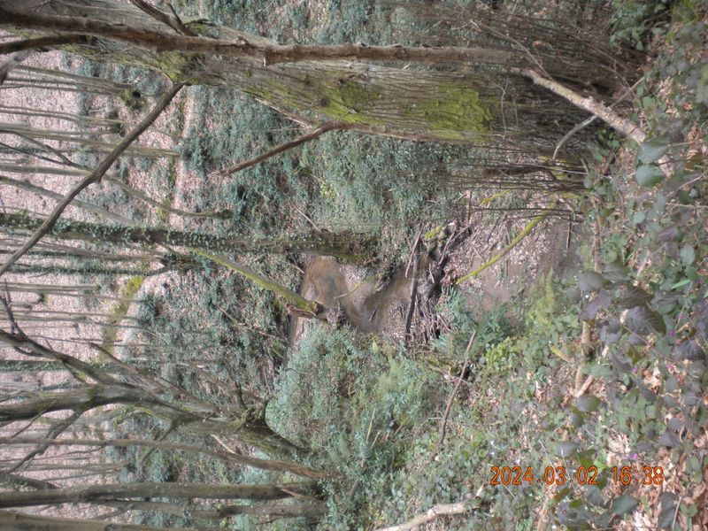 DSCN0735.JPG