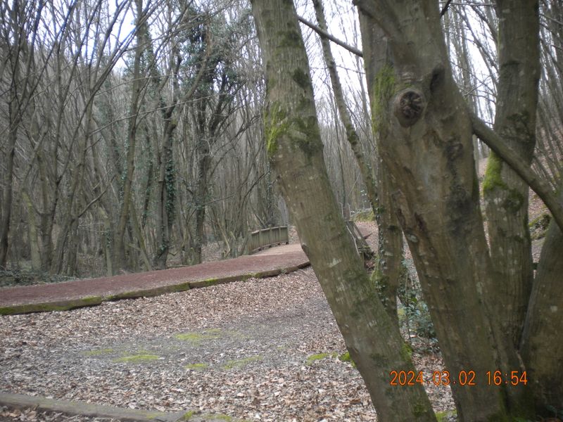 DSCN0738.JPG