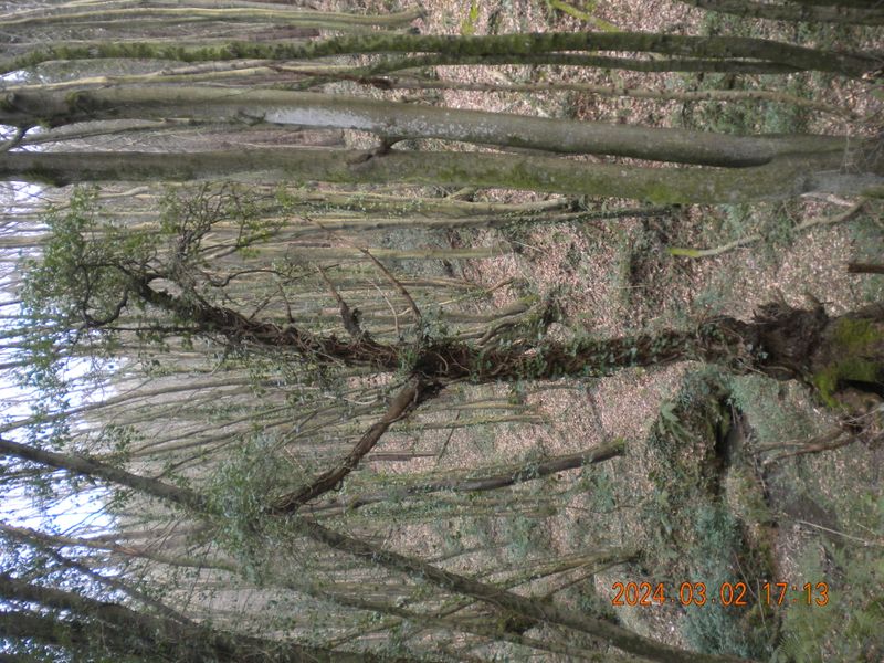 DSCN0742.JPG