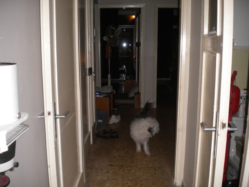 DSCN0861.JPG