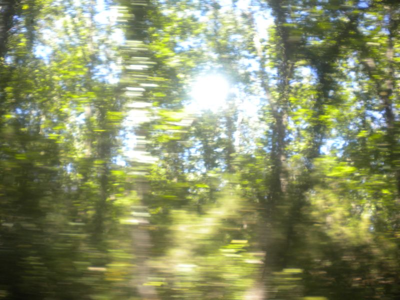 DSCN0905.JPG