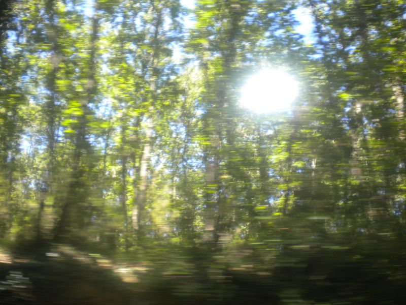 DSCN0906.JPG