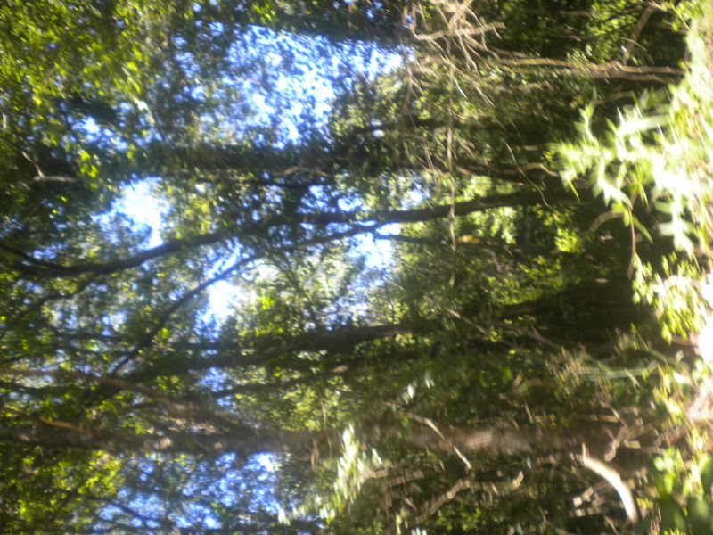 DSCN0911.JPG