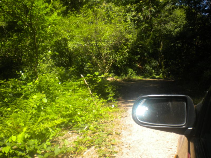 DSCN0912.JPG