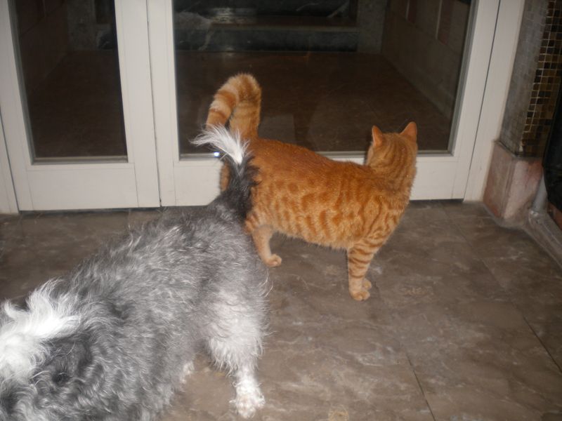 DSCN0970.JPG