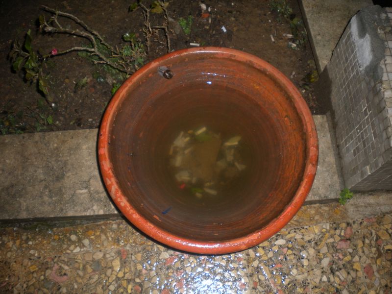DSCN0972.JPG