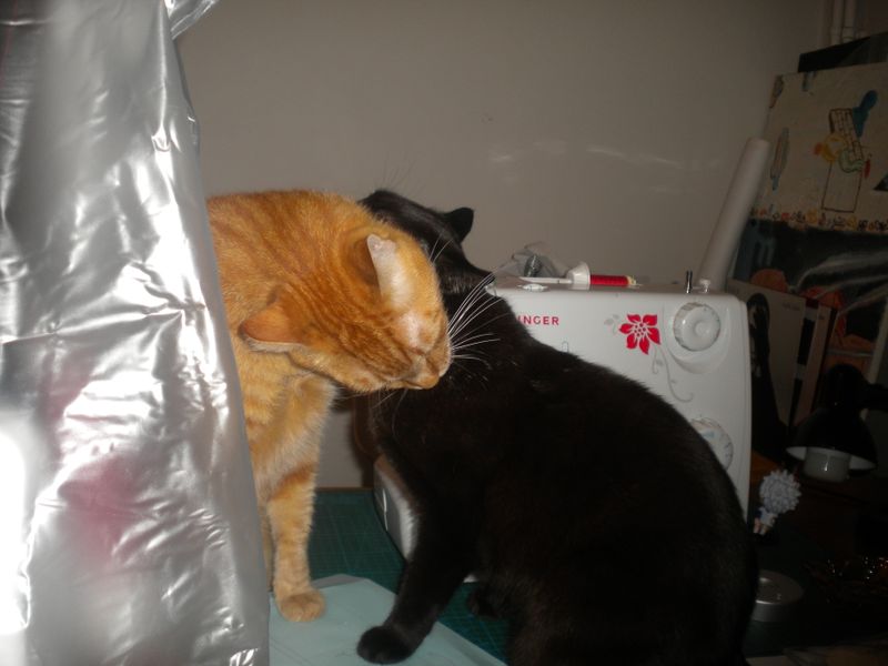 DSCN1047.JPG