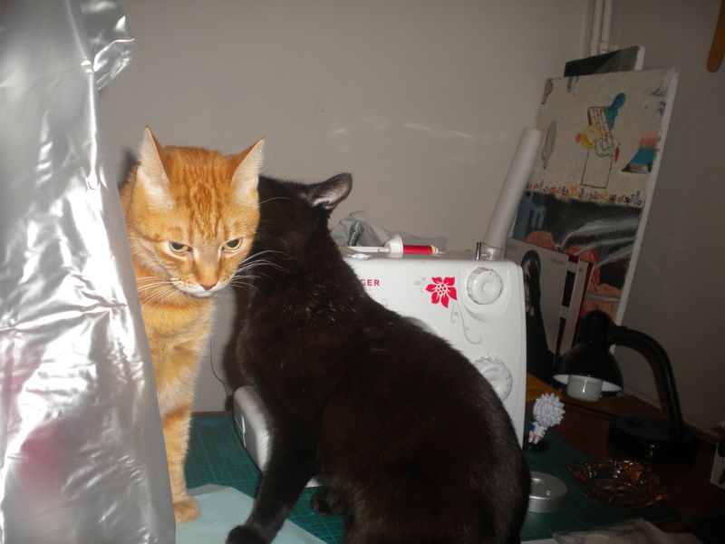 DSCN1048.JPG
