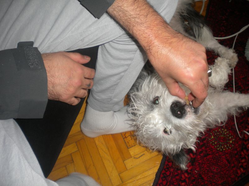 DSCN1058.JPG