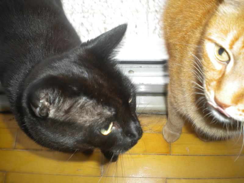 DSCN1061.JPG