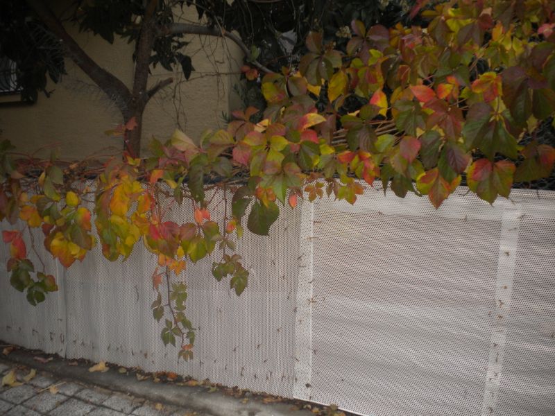 DSCN1063.JPG