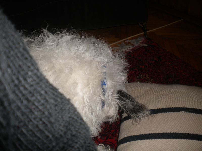 DSCN1075.JPG