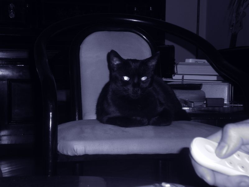 DSCN1097.JPG