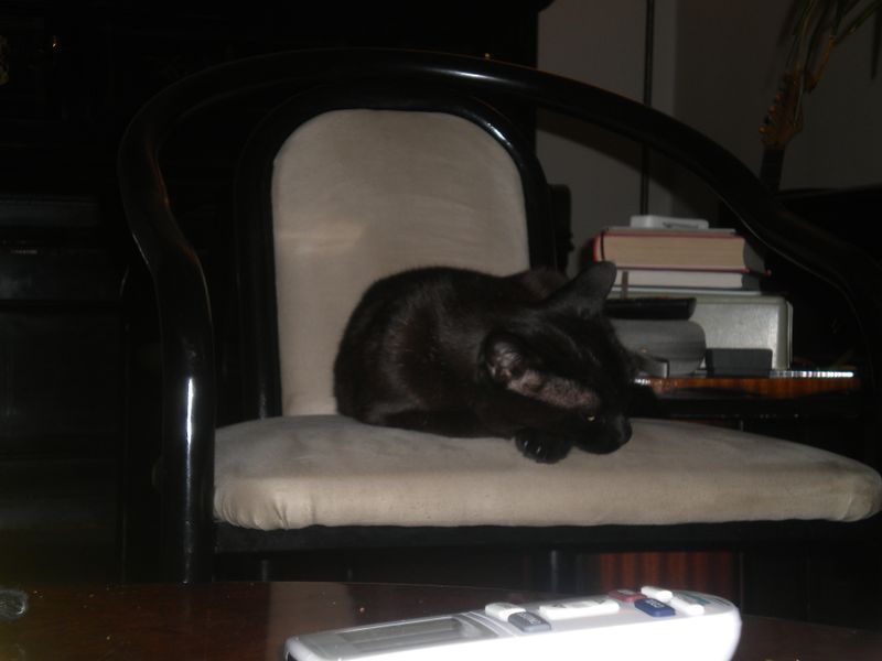 DSCN1099.JPG
