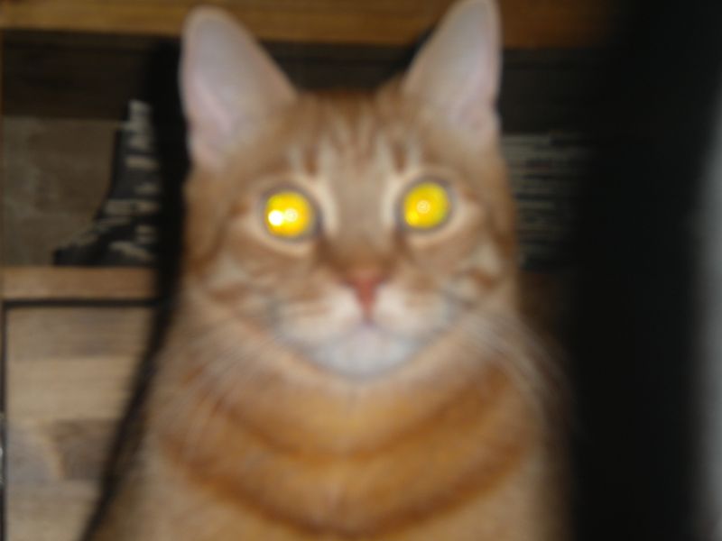 DSCN1135.JPG