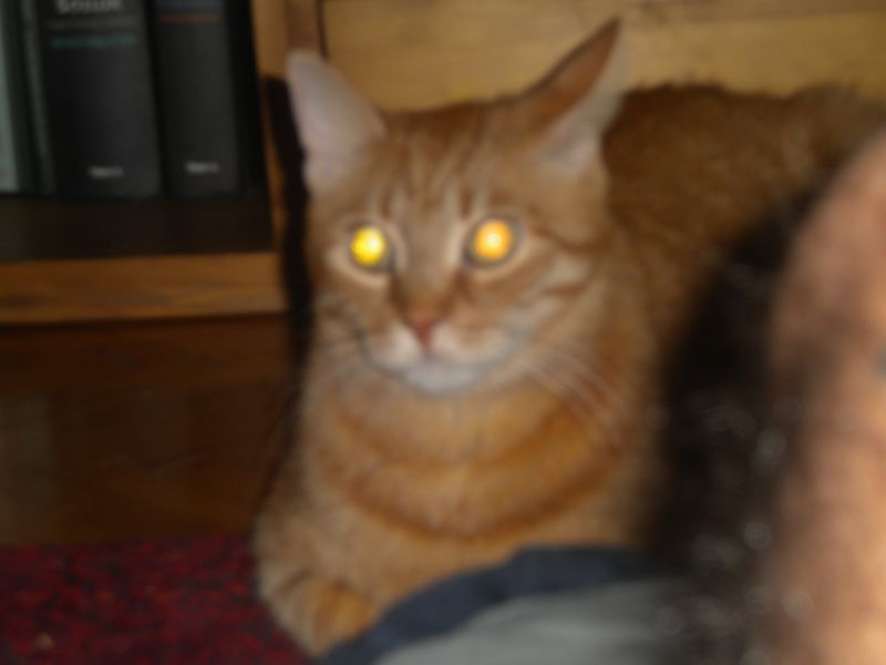 DSCN1137.JPG