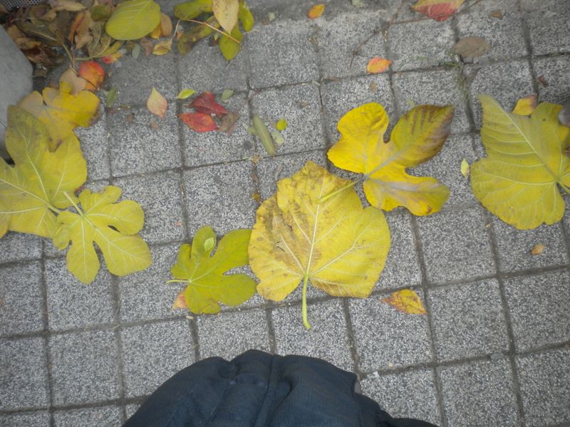 DSCN1183.JPG