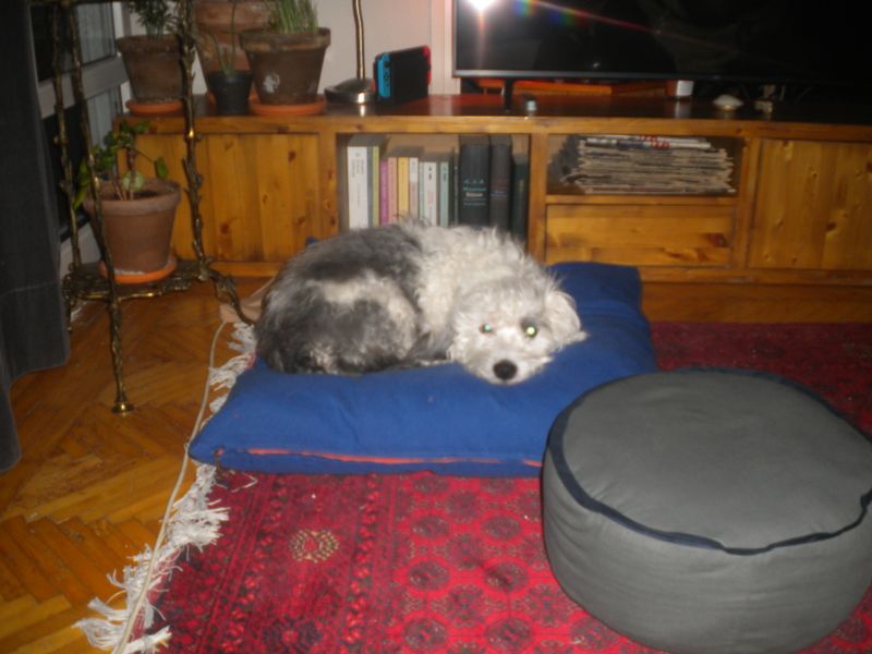 DSCN1230.JPG
