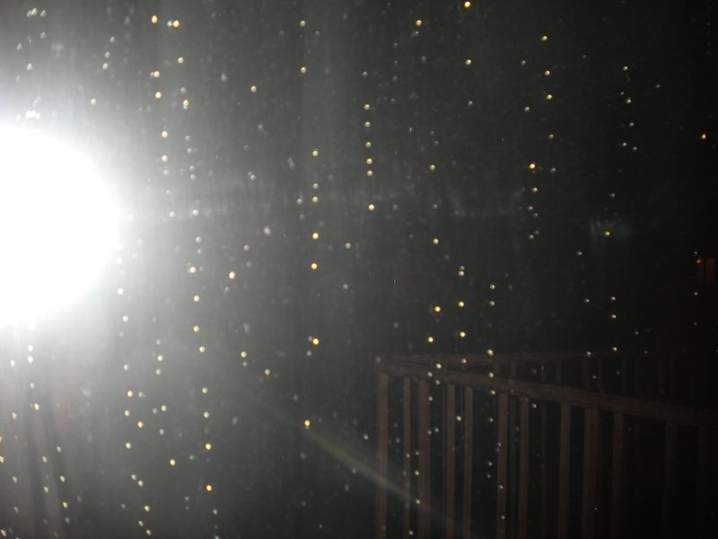 DSCN1239.JPG