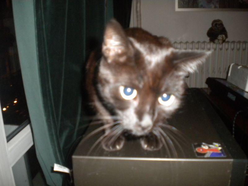 DSCN1249.JPG