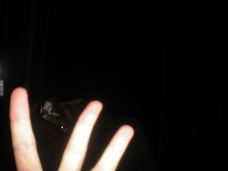 DSCN1319.JPG