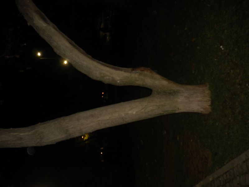 DSCN1353.JPG