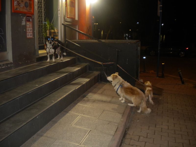 DSCN1358.JPG