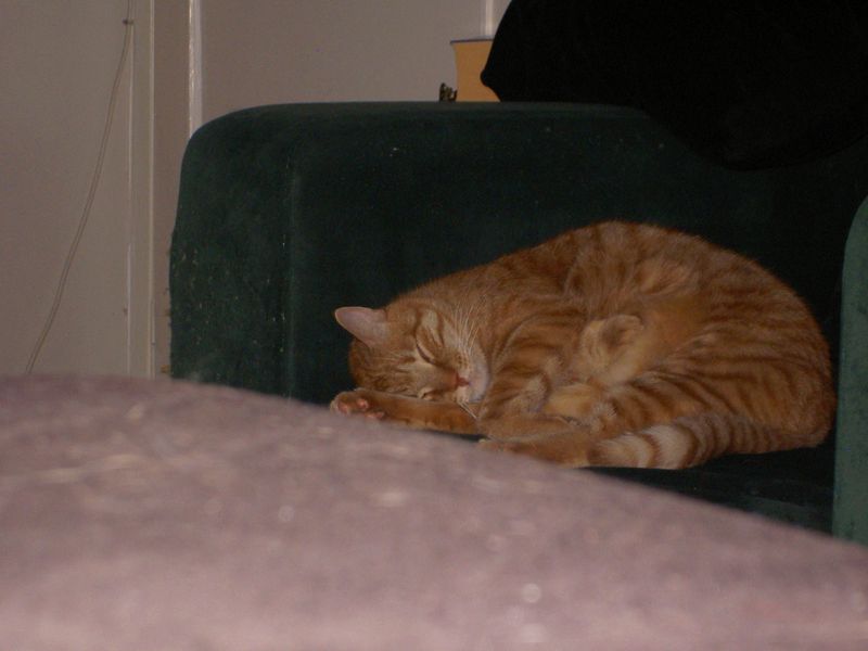 PICT3722.JPG