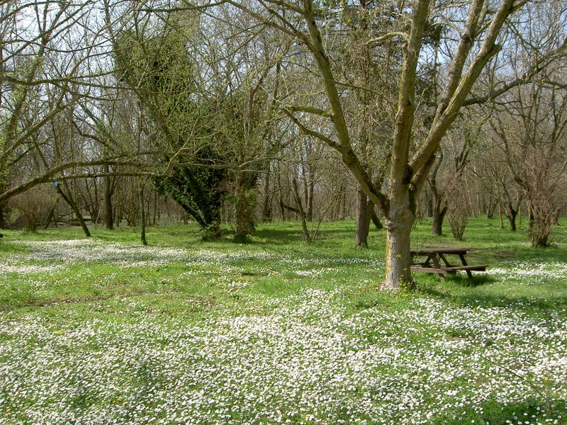 PICT3731.JPG