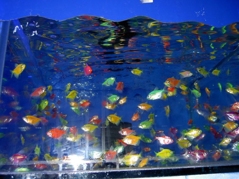 PICT3737.JPG