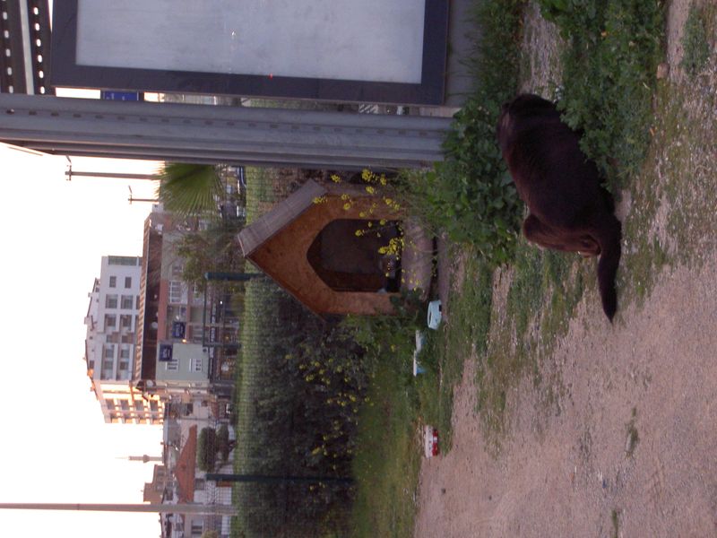 PICT3742.JPG