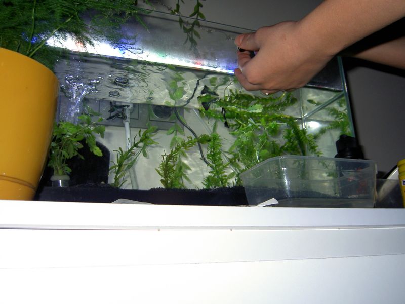 PICT3744.JPG