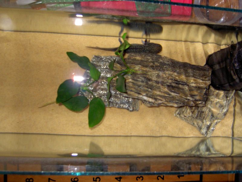PICT3747.JPG