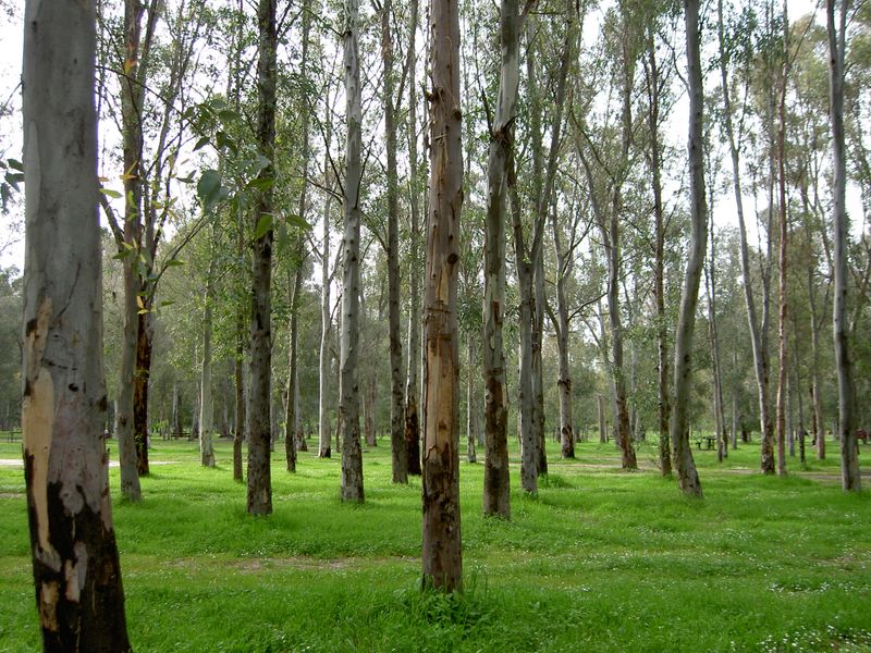 PICT3789.JPG
