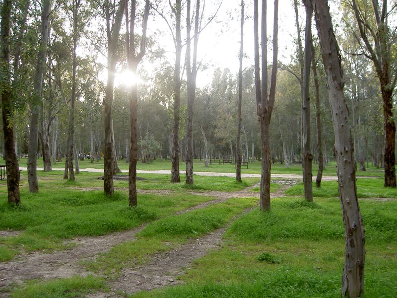 PICT3802.JPG