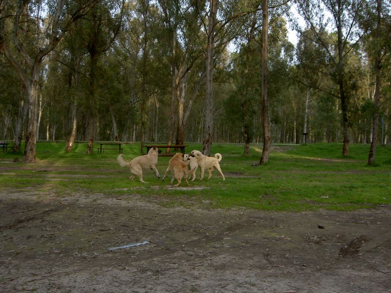 PICT3806.JPG