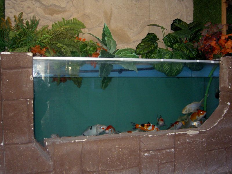 PICT3827.JPG