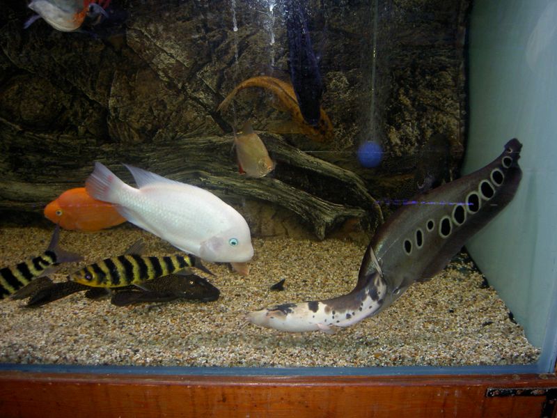 PICT3830.JPG