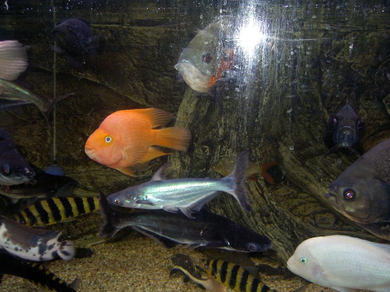 PICT3831.JPG