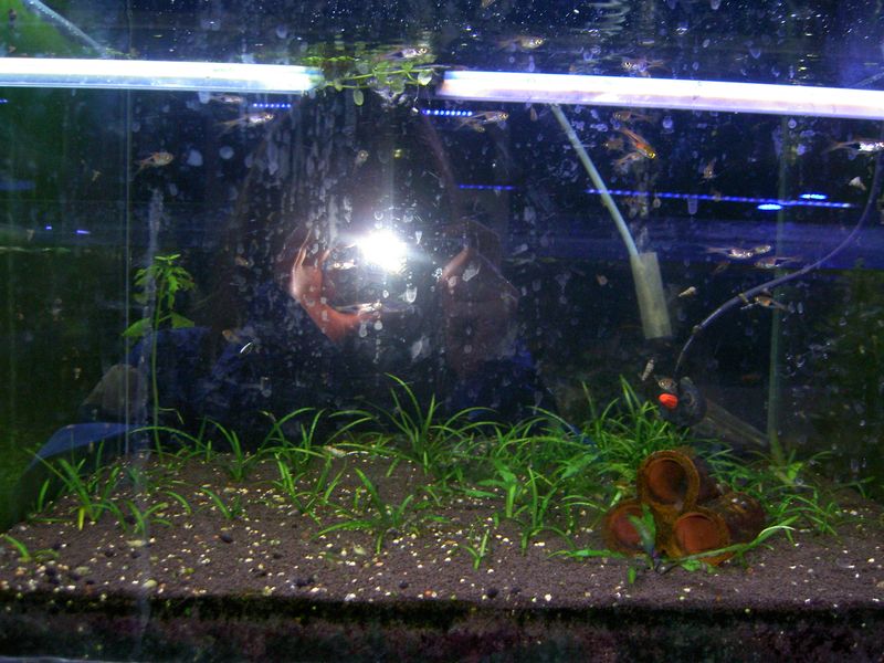 PICT3834.JPG