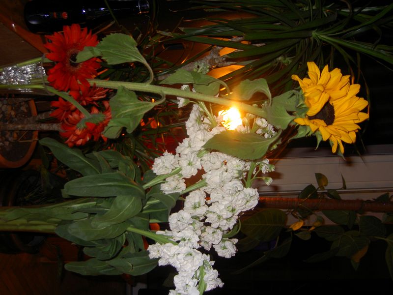 PICT3899.JPG