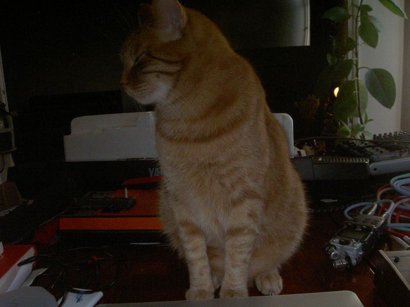 PICT3985.JPG