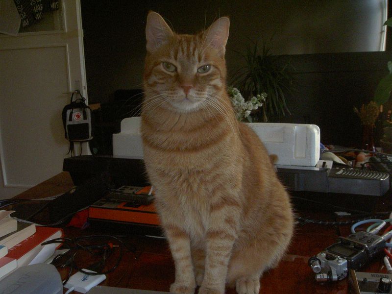 PICT3987.JPG