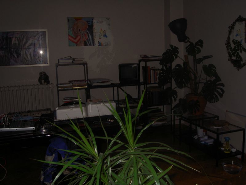 PICT4019.JPG