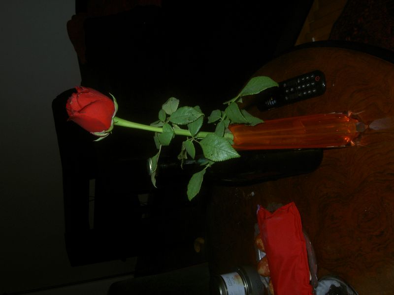 PICT4050.JPG