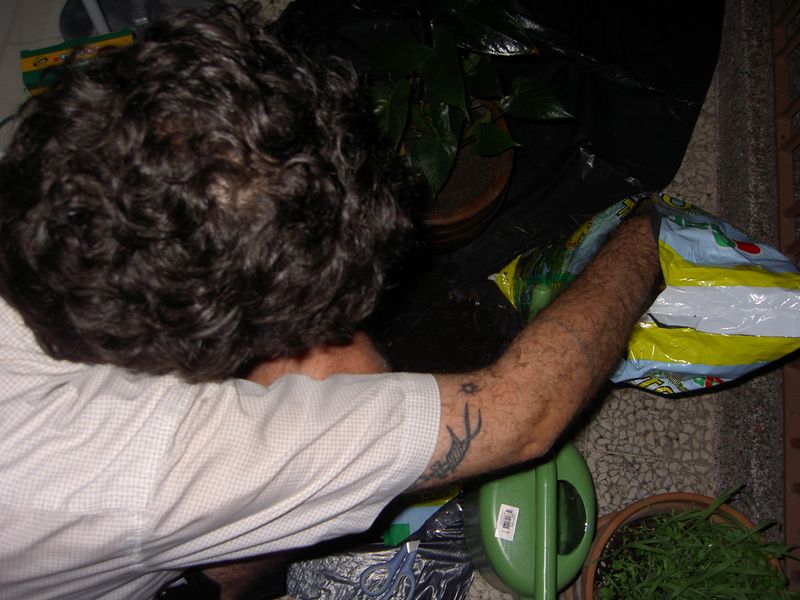 PICT4177.JPG
