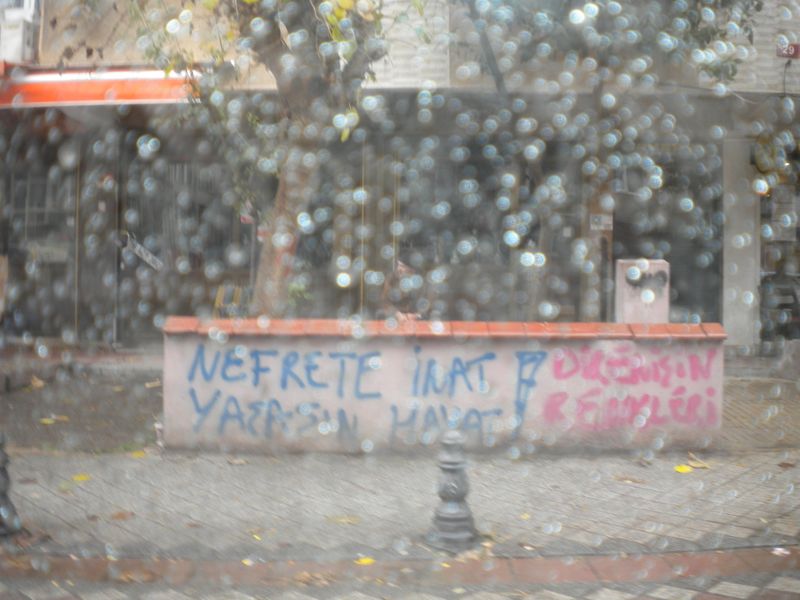 DSCN1416.JPG