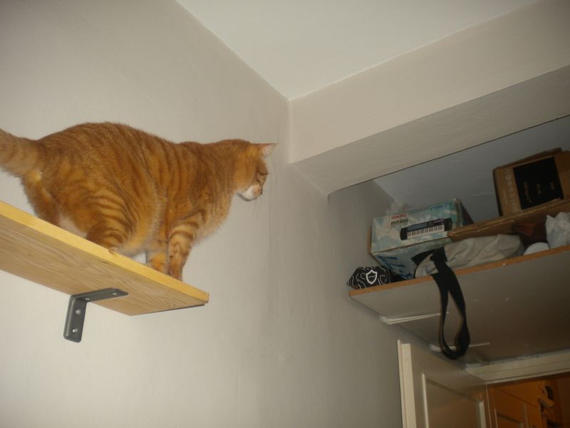 DSCN1518.JPG