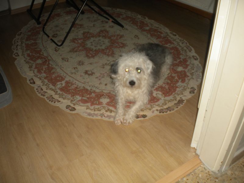 DSCN1520.JPG