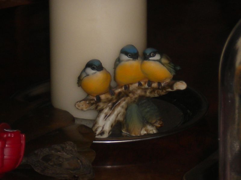 DSCN1526.JPG